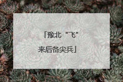 豫北“飞”来后备尖兵