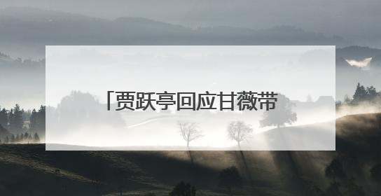 贾跃亭回应甘薇带女儿唱《野子》：你们唱得比爸爸好听多了；《野子》曾是贾跃亭“代表作”