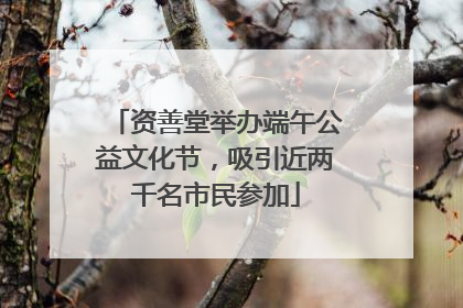 资善堂举办端午公益文化节，吸引近两千名市民参加