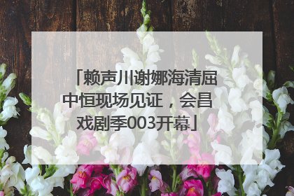 赖声川谢娜海清屈中恒现场见证，会昌戏剧季003开幕