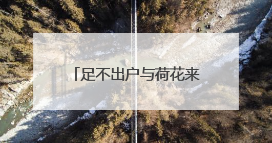 足不出户与荷花来一场浪漫约会！湖北推出赏荷地图