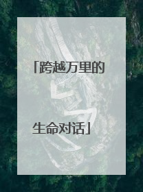 跨越万里的生命对话