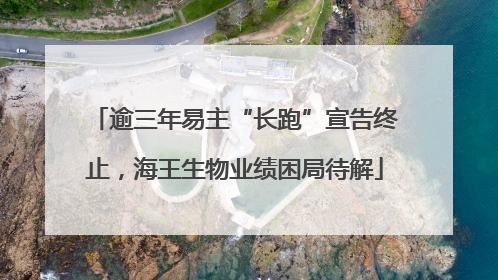 逾三年易主“长跑”宣告终止，海王生物业绩困局待解