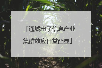 通城电子信息产业集群效应日益凸显