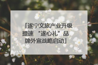 遂宁文旅产业升级提速 “遂心礼”品牌外宣战略启动
