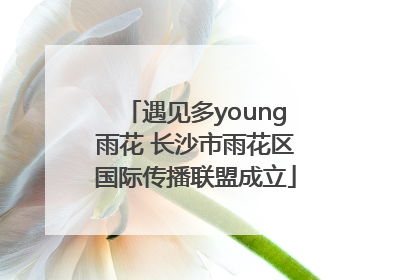 遇见多young雨花 长沙市雨花区国际传播联盟成立