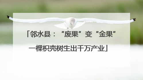 邻水县：“废果”变“金果” 一棵枳壳树生出千万产业