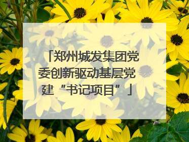 郑州城发集团党委创新驱动基层党建“书记项目”