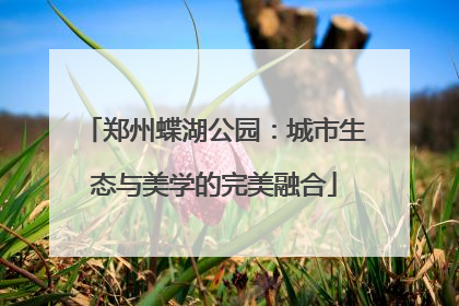 郑州蝶湖公园：城市生态与美学的完美融合