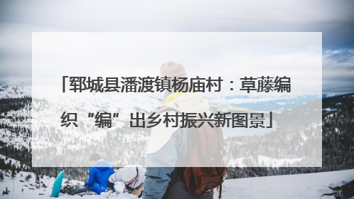 郓城县潘渡镇杨庙村：草藤编织“编”出乡村振兴新图景