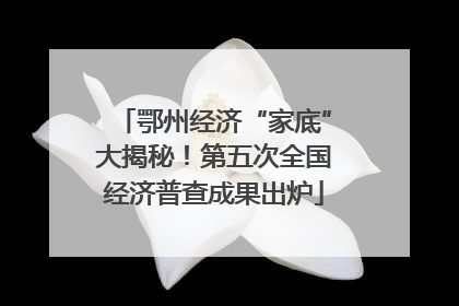 鄂州经济“家底”大揭秘！第五次全国经济普查成果出炉