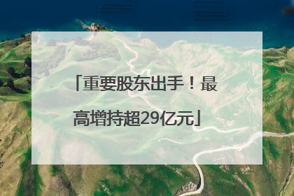 重要股东出手！最高增持超29亿元