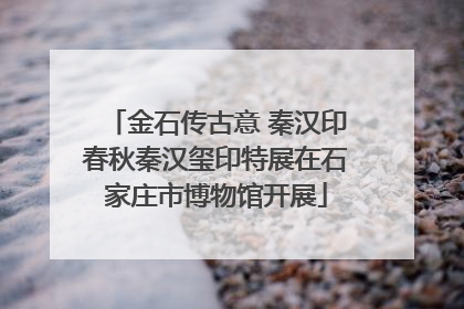 金石传古意 秦汉印春秋秦汉玺印特展在石家庄市博物馆开展