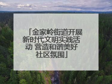 金家岭街道开展新时代文明实践活动 营造和谐美好社区氛围