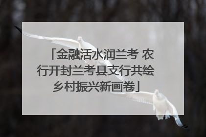 金融活水润兰考 农行开封兰考县支行共绘乡村振兴新画卷