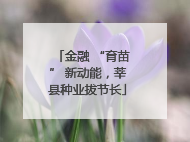 金融 “育苗” 新动能，莘县种业拔节长