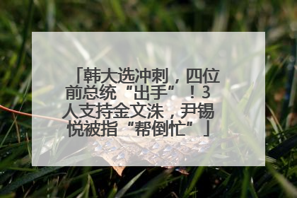 韩大选冲刺，四位前总统“出手”！3人支持金文洙，尹锡悦被指“帮倒忙”