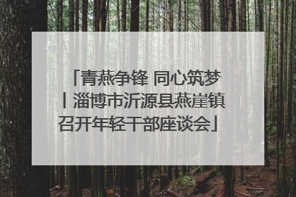 青燕争锋 同心筑梦丨淄博市沂源县燕崖镇召开年轻干部座谈会