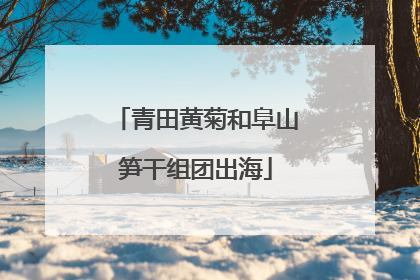 青田黄菊和阜山笋干组团出海