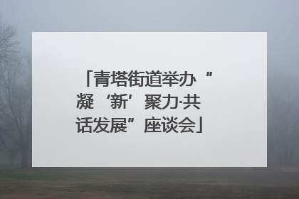 青塔街道举办“凝‘新’聚力·共话发展”座谈会