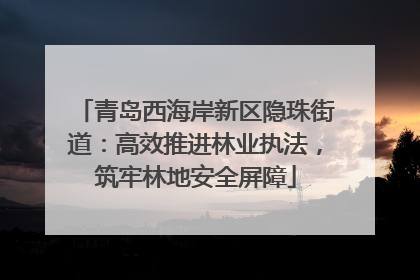 青岛西海岸新区隐珠街道：高效推进林业执法，筑牢林地安全屏障