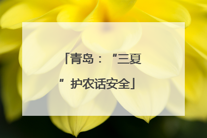 青岛：“三夏”护农话安全