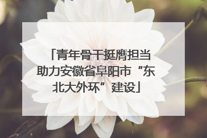 青年骨干挺膺担当 助力安徽省阜阳市“东北大外环”建设