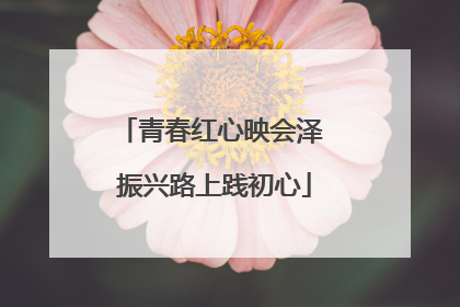 青春红心映会泽 振兴路上践初心