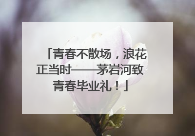青春不散场，浪花正当时——茅岩河致青春毕业礼！
