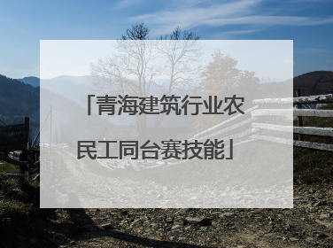 青海建筑行业农民工同台赛技能