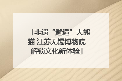 非遗“邂逅”大熊猫 江苏无锡博物院解锁文化新体验