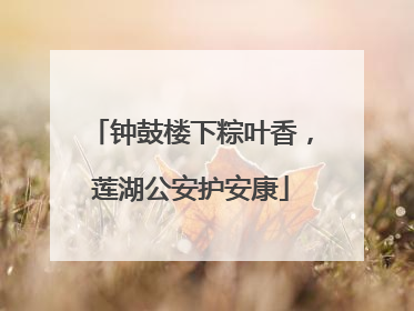 钟鼓楼下粽叶香，莲湖公安护安康