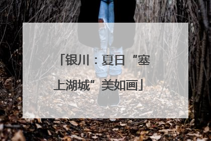 银川：夏日“塞上湖城”美如画