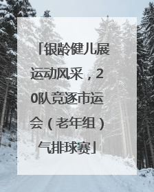 银龄健儿展运动风采，20队竞逐市运会（老年组）气排球赛