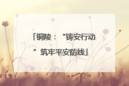 铜陵：“铸安行动”筑牢平安防线