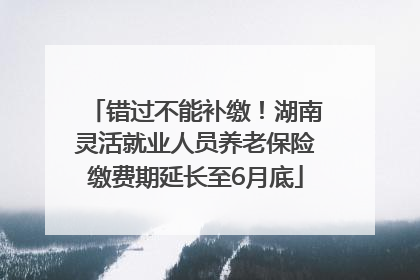 错过不能补缴！湖南灵活就业人员养老保险缴费期延长至6月底