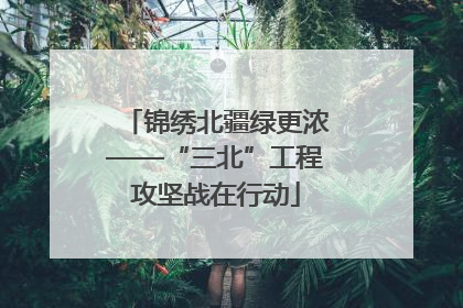 锦绣北疆绿更浓——“三北”工程攻坚战在行动