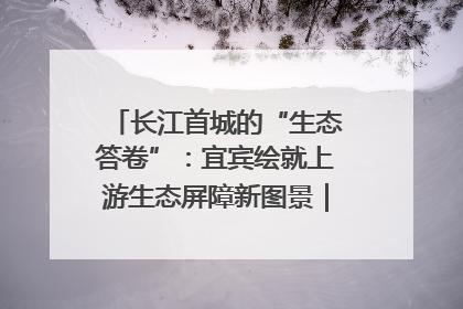 长江首城的“生态答卷”：宜宾绘就上游生态屏障新图景｜中华环保世纪行