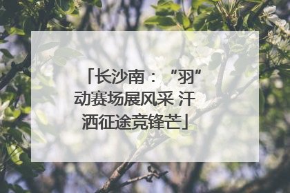 长沙南：“羽”动赛场展风采 汗洒征途竞锋芒