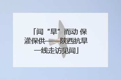 闻“旱”而动 保灌保供——陕西抗旱一线走访见闻