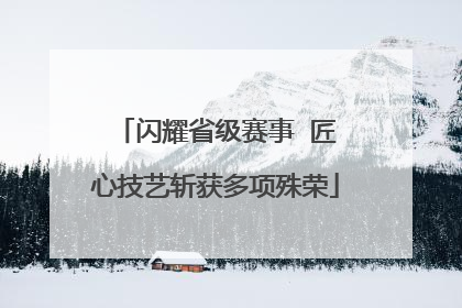 闪耀省级赛事  匠心技艺斩获多项殊荣