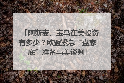 阿斯麦、宝马在美投资有多少？欧盟紧急“盘家底”准备与美谈判
