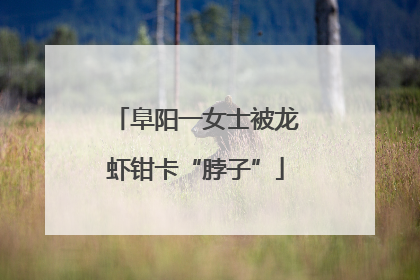 阜阳一女士被龙虾钳卡“脖子”