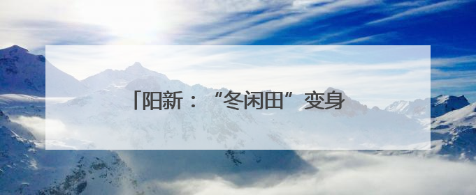 阳新：“冬闲田”变身“黄金田” 稻麦轮作绘就乡村振兴新篇章