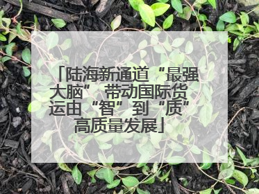 陆海新通道“最强大脑” 带动国际货运由“智”到“质”高质量发展