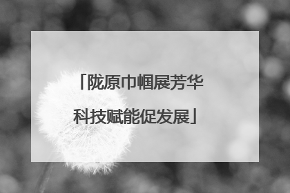 陇原巾帼展芳华 科技赋能促发展