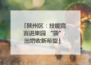 陕州区：技能竞赛进果园 “袋”出增收新希望