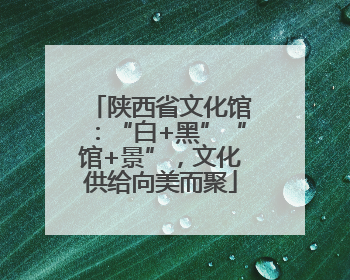 陕西省文化馆：“白+黑”“馆+景”，文化供给向美而聚