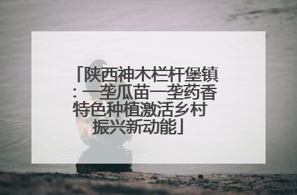 陕西神木栏杆堡镇：一垄瓜苗一垄药香 特色种植激活乡村振兴新动能