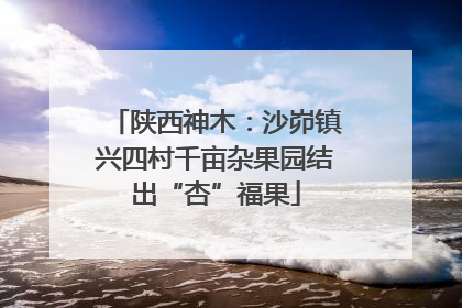 陕西神木：沙峁镇兴四村千亩杂果园结出“杏”福果